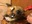U15605_thumb