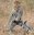 U15637_thumb