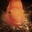 U15975_thumb