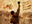 U16049_thumb