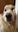 U16109_thumb