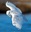U16152_thumb