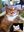 U16902_thumb