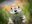 U17298_thumb