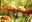 U17504_thumb