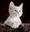 U17664_thumb