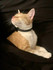 ludzu24@mail.ru