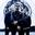U2336_thumb