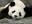 U2828_thumb