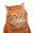 U3546_thumb