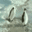 U4476_thumb