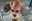 U4811_thumb