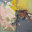 U4904_thumb