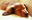 U5238_thumb