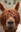U6167_thumb