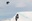 U8896_thumb