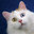 U9583_thumb